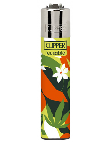 Clipper lighter WARM FLOWERS design 2