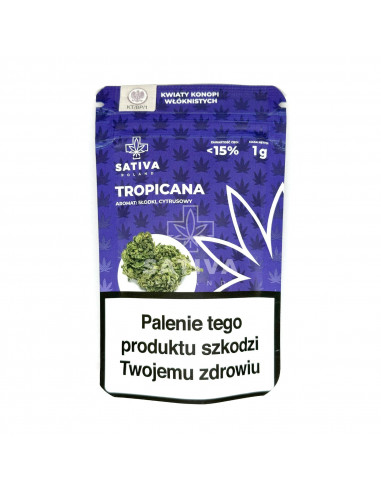 Hemp Drought Tropicana Sativa Poland 1g