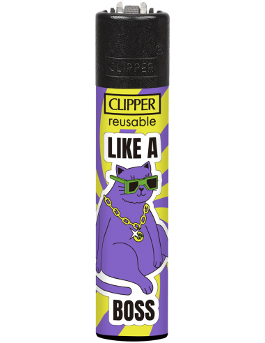 Clipper lighter, CAT RULES pattern 1