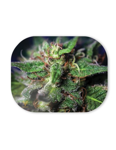 Magnetyczna pokrywa do tacki V-Syndicate BLUE DREAM 18x14 cm