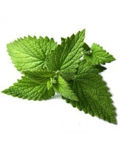 Melisa BIO 15g susz biologiczny do aromaterapii