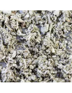 Szałwia BIO 15g susz biologiczny do aromaterapii 2