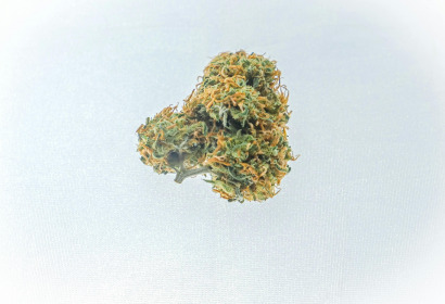 Cannabis Flos THC 22% CBD ≤1% (S-Lab)