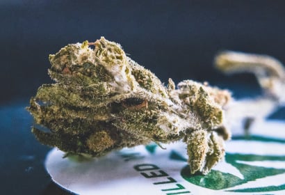 Cannabis Flos THC 10%, CBD 7% (Canopy Growth)