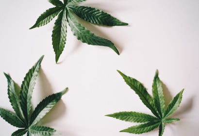 Cannabis Flos THC 25%, CBD ≤ 0,5% (Canopy Growth) Krypton